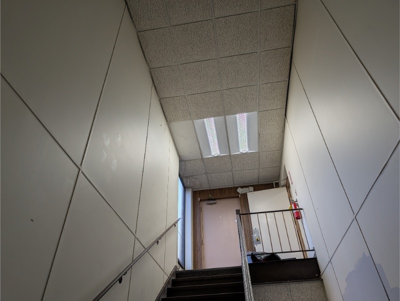 2x4 Clear Troffer Stairway