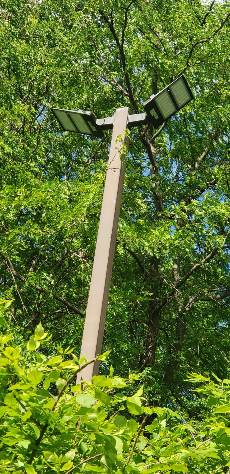 Pole Light (1)